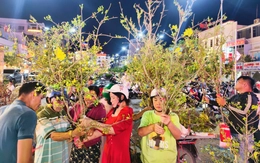 'Chợ' nhánh mai vàng ở Long Xuyên rộn ràng tối 28 Tết, giá rẻ hơn năm trước