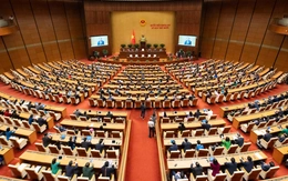 Bầu cử đại biểu Quốc hội