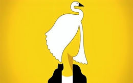 Quiz: Bạn vui vẻ, lạc quan hay là người điềm tĩnh, tốt bụng