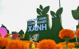 Đường hoa xuân Đồng Tháp tạo dấu ấn mạnh mẽ về thông điệp xanh