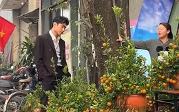 Thanh niên mua quất chơi Tết phong cách tổng tài