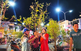 Mai nhánh ở Long Xuyên đắt khách, giá chỉ từ vài chục nghìn đồng