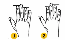 Quiz: Chiều dài ngón trỏ tiết lộ gì về bạn