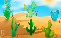 Quiz: Nội tâm bạn đang mong muốn điều gì?