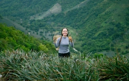 Ngắm hoàng hôn, ăn dứa no nê tại thung lũng Đồng Din