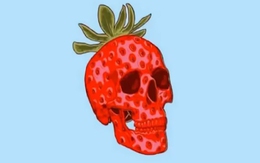 Quiz: Bạn là người hòa đồng và dễ thích nghi?