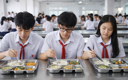 Làm sao để bữa ăn học đường an toàn?