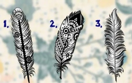 Quiz: Sứ mệnh cuộc đời của bạn là gì?