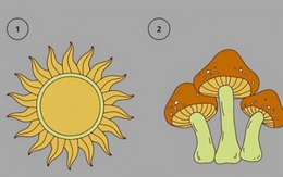 Quiz: Bạn vui vẻ, lạc quan hay là người nhạy cảm