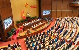 Danh sách 7 nữ ứng viên thế hệ '2K' ứng cử đại biểu Quốc hội khóa XVI