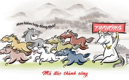 Đầu năm đi làm chỉ mong mã đáo thành công