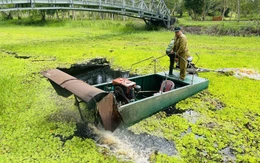 Thủ tướng: Chủ động ứng phó xâm nhập mặn bất thường tăng cao, không để người dân thiếu nước ngọt