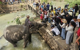 Du lịch Đắk Lắk khởi sắc đầu năm Bính Ngọ