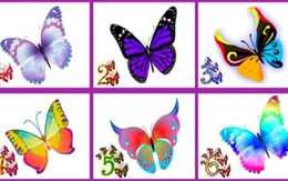 Quiz: Bạn hòa nhã, điềm tĩnh hay năng động, chăm chỉ