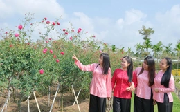 Du lịch miền Tây bội thu dịp Tết, mỗi nơi hút khách một cách riêng