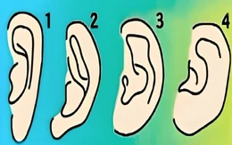 Quiz: Hình dạng tai tiết lộ gì về con người bạn?