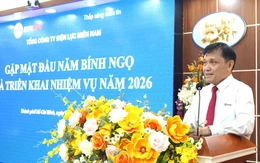 Điện lực miền Nam: Triển khai nhiệm vụ ngay sau Tết