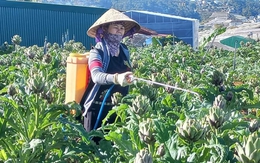 Những mùa atiso của tuổi thơ