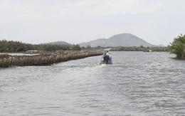 Quyết định cưỡng chế khắc phục hậu quả đối với người bao chiếm đầm Đông Hồ