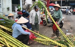 Nhộn nhịp mua bán mía vàng trước ngày vía Ngọc Hoàng