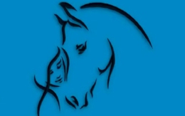 Quiz: Bạn chung thủy hay lý trí?