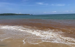 Vụ nước biển đổi sang màu đỏ kỳ lạ tại Gia Lai: Không phải tảo nở hoa