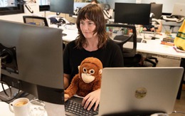 Thú bông của khỉ Punch tăng giá gấp 16 lần vẫn 'cháy hàng'