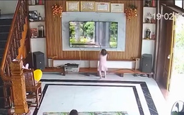 Mẹ chán không buồn nói khi con gái đầu năm 'mở bát' cái tivi mới