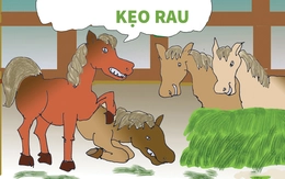 Một con ngựa đau vì kẹo rau thì cả tàu phải làm sao?