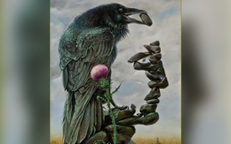 Quiz: Bạn có giác quan thứ sáu không?