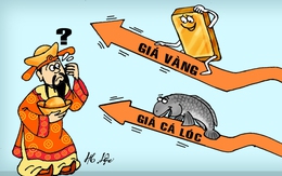 Cá lóc sợ nhất Thần Tài