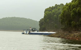 Khởi tố, bắt tạm giam lái tàu chở đá trong vụ chìm tàu khách trên hồ Thác Bà