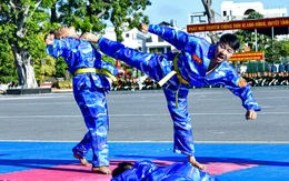 Những màn võ thuật dũng mãnh tại buổi tổng duyệt lễ ra quân huấn luyện của Bộ tư lệnh TP.HCM