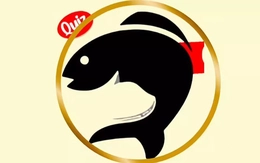 Quiz: Ảo ảnh tiết lộ nét tính cách nổi trội của bạn