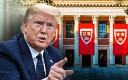 Ông Trump đòi Đại học Harvard bồi thường 1 tỉ USD