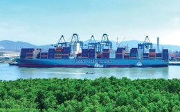 TP.HCM vươn tới đại dương