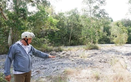 Canh giữ lửa rừng Phú Quốc xuyên Tết