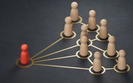 Đám đông có thể sai, vì sao con người vẫn nghe theo? Nghiên cứu hé lộ lý do