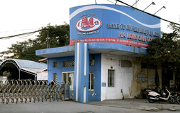 Giá vốn bất ngờ 'vọt' lên, Đồ hộp Hạ Long lỗ đậm sau vụ việc thịt heo bệnh