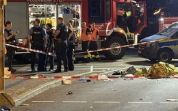 Khởi tố tài xế gây tai nạn khiến 2 anh em người Việt tử vong tại Đức