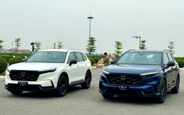 'Honda CR-V lắp ráp khó có giá dưới 1 tỉ đồng'