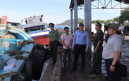 Rà soát thiết bị giám sát tàu cá tại TP.HCM, đẩy mạnh chống khai thác IUU