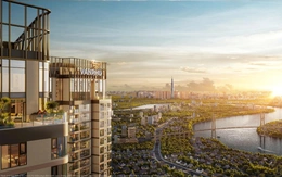 Những ô cửa sáng đèn kể câu chuyện đời sống đô thị