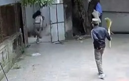 Con gái bị bố rượt chạy té khói vì nghịch ngợm