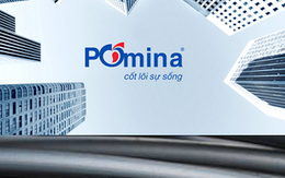 Thép Pomina lỗ cao nhất 3 năm, bất chấp thông tin Vingroup vào cuộc
