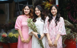 Chưa nghe mùi Tết? Có thể Tết đang chờ bạn 'bật công tắc' bằng mấy việc này