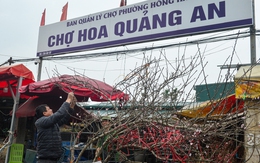 Thị trường hoa Hà Nội ngày giáp Tết: Đào giữ giá, tuyết mai tiêu thụ chậm