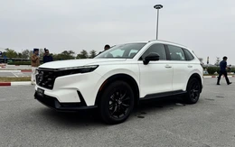 Tin tức giá xe: Honda CR-V hybrid lắp ráp chốt giá từ 1,17 tỉ đồng đấu Mazda CX-5, Hyundai Tucson