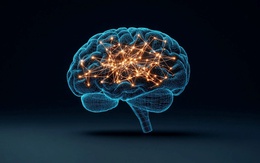 Để tâm trí ‘lang thang’ giúp con người sáng tạo hơn