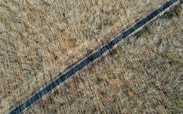 Lạc vào không gian kỳ ảo của rừng cao su mùa thay lá